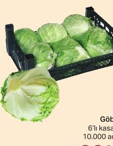 Göbek Marul