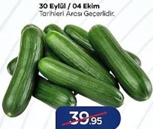 Salatalık 1 Kg