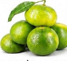 Mandalina