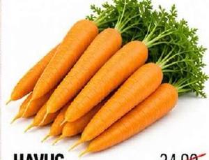 Havuç