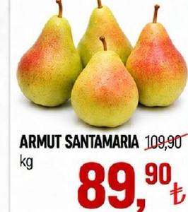 Armut Santamaria