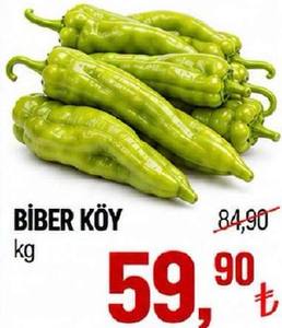 Biber Köy