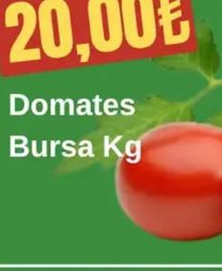 Domates Bursa Kg