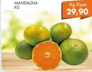 Mandalina