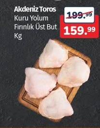 Akdeniz Toros Kuru Yolum Fırınlık Üst But